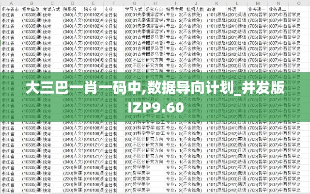 大三巴一肖一码中,数据导向计划_并发版IZP9.60