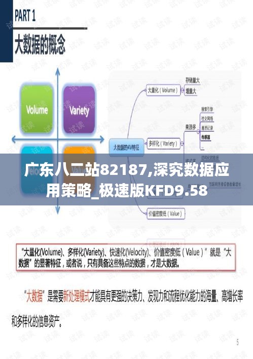 广东八二站82187,深究数据应用策略_极速版KFD9.58