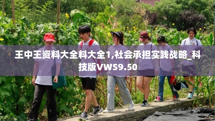 王中王资料大全料大全1,社会承担实践战略_科技版VWS9.50