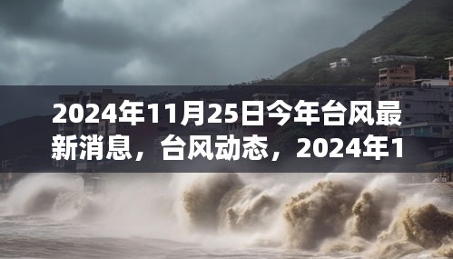 2024年台风最新动态及历史回顾，台风消息与地位回顾