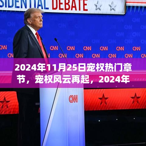 宠权风云再起深度解析，揭秘2024年11月25日热门章节