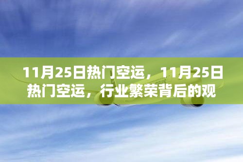 观点碰撞背后的行业繁荣，揭秘11月25日热门空运背后的故事