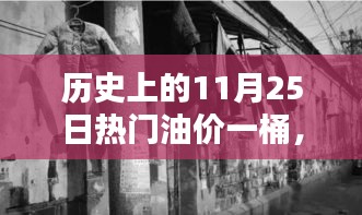 秘境探秘，油价传奇与特色风情的小巷深处历史揭秘（11月25日油价回顾）