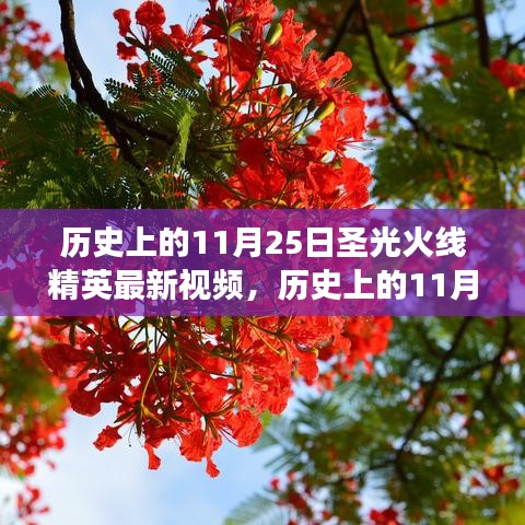 历史上的11月25日，圣光火线精英引领自然探索之旅，最新视频发布