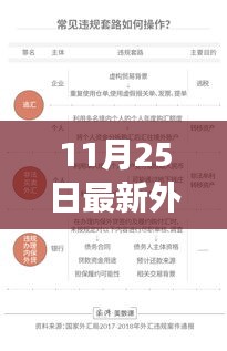 最新外汇携带规定解读，以11月25日实施细节为中心探讨