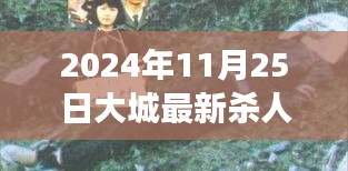 震惊！大城最新杀人案揭秘，2024年11月25日悲剧背后的真相