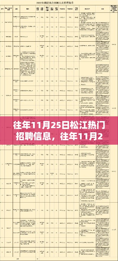 往年11月25日松江热门招聘信息解析与概览