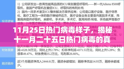 揭秘，11月25日热门病毒的真实面貌及其时代影响与背景分析