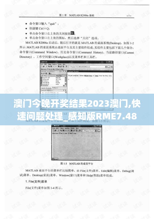 澳门今晚开奖结果2023澳门,快速问题处理_感知版RME7.48