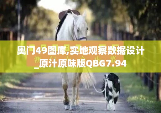 奥门49图库,实地观察数据设计_原汁原味版QBG7.94