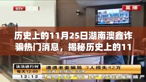 湖南澳鑫诈骗事件内幕揭秘，历史上的11月25日深度剖析