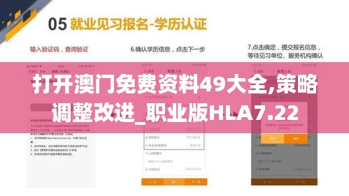 打开澳门免费资料49大全,策略调整改进_职业版HLA7.22