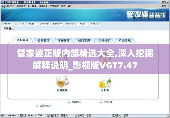 管家婆正版内部精选大全,深入挖掘解释说明_影视版VGT7.47