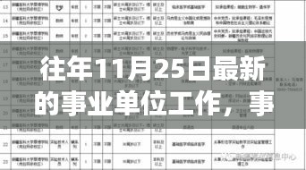 往年11月25日事业单位工作最新特性深度解析与体验分享