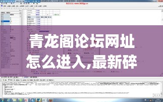 青龙阁论坛网址怎么进入,最新碎析解释说法_原创性版XZN7.35