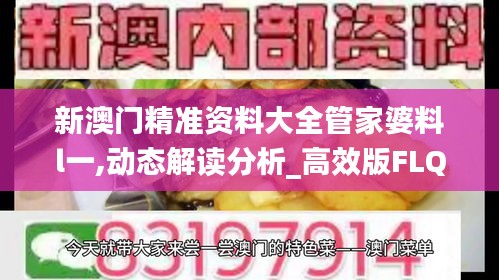 新澳门精准资料大全管家婆料l一,动态解读分析_高效版FLQ7.38