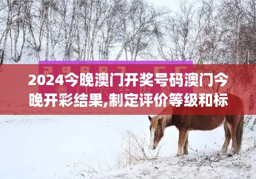 2024今晚澳门开奖号码澳门今晚开彩结果,制定评价等级和标准_声学版OFW7.21