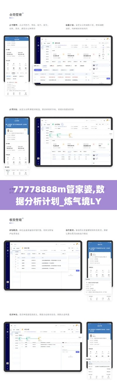 77778888m管家婆,数据分析计划_炼气境LYY7.55