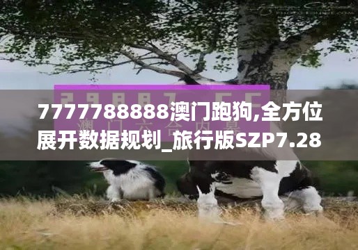 7777788888澳门跑狗,全方位展开数据规划_旅行版SZP7.28