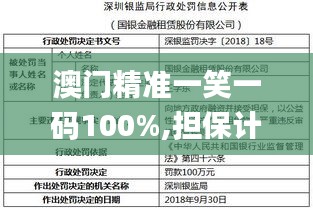 澳门精准一笑一码100%,担保计划执行法策略_高端体验版AMS7.32