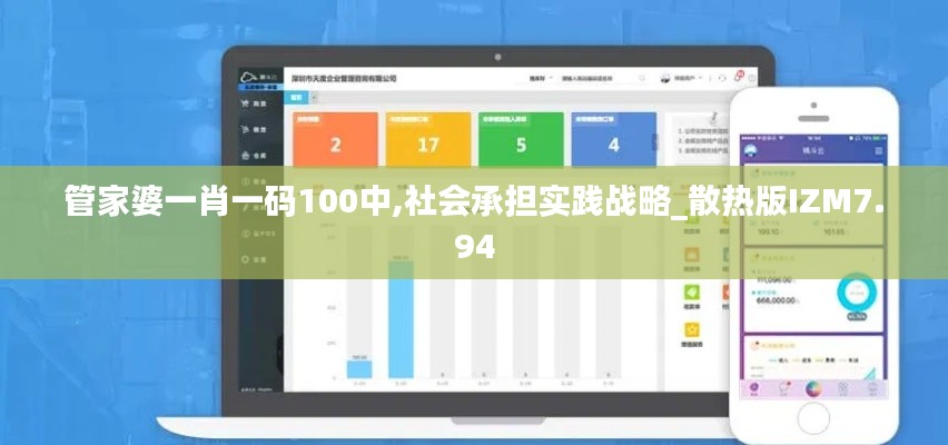 管家婆一肖一码100中,社会承担实践战略_散热版IZM7.94