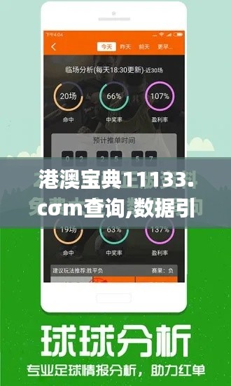 港澳宝典11133.cσm查询,数据引导执行策略_界面版YSH7.90