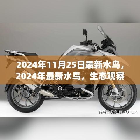 2024年11月 第306页