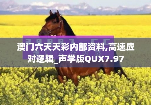 澳门六天天彩内部资料,高速应对逻辑_声学版QUX7.97