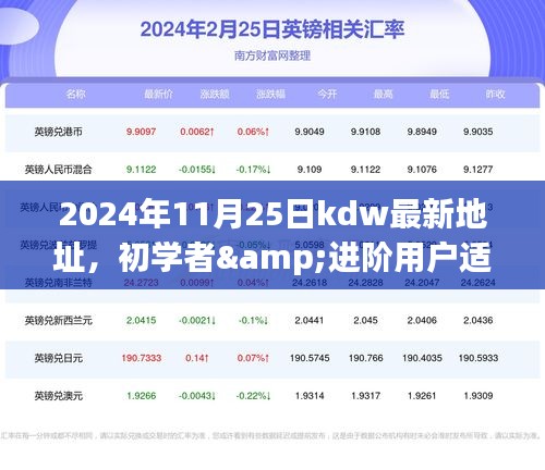 2024年11月25日KDW最新地址获取与操作指南，适合初学者与进阶用户