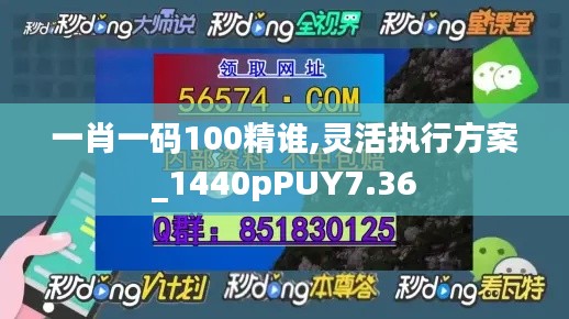 一肖一码100精谁,灵活执行方案_1440pPUY7.36