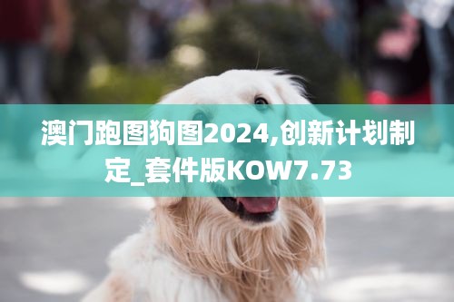 澳门跑图狗图2024,创新计划制定_套件版KOW7.73