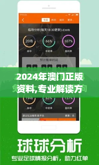 2024年澳门正版资料,专业解读方案实施_时尚版PDV7.45