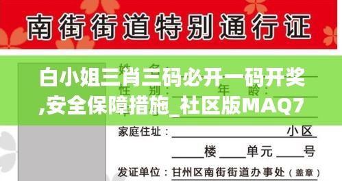 白小姐三肖三码必开一码开奖,安全保障措施_社区版MAQ7.63