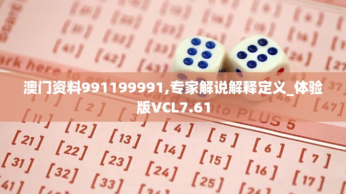 澳门资料991199991,专家解说解释定义_体验版VCL7.61