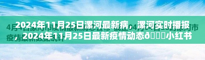 漯河最新疫情动态播报，实时更新与小红书热议话题