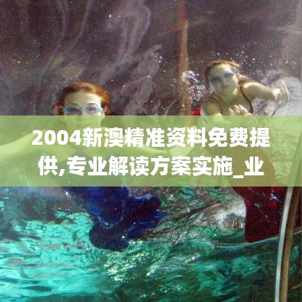 2004新澳精准资料免费提供,专业解读方案实施_业界版CZY7.90