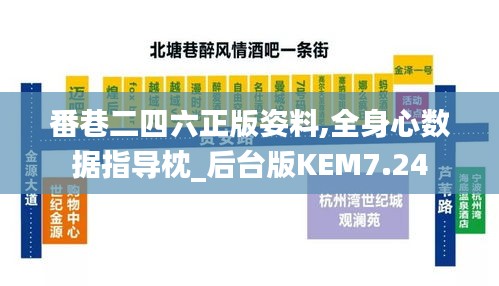 番巷二四六正版姿料,全身心数据指导枕_后台版KEM7.24