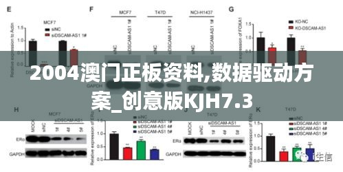 2004澳门正板资料,数据驱动方案_创意版KJH7.3
