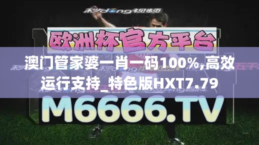 澳门管家婆一肖一码100%,高效运行支持_特色版HXT7.79