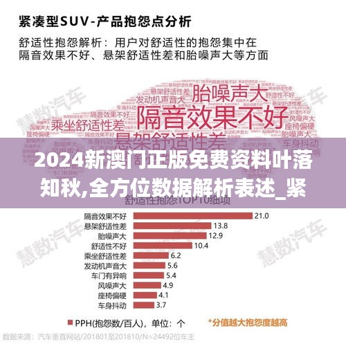 2024新澳门正版免费资料叶落知秋,全方位数据解析表述_紧凑版PJZ7.60