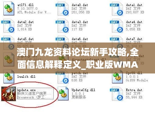 澳门九龙资料论坛新手攻略,全面信息解释定义_职业版WMA7.77