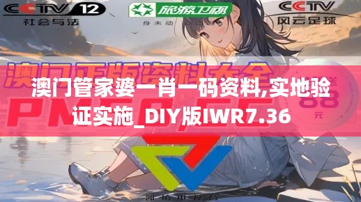 澳门管家婆一肖一码资料,实地验证实施_DIY版IWR7.36