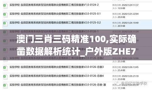 澳门三肖三码精准100,实际确凿数据解析统计_户外版ZHE7.94