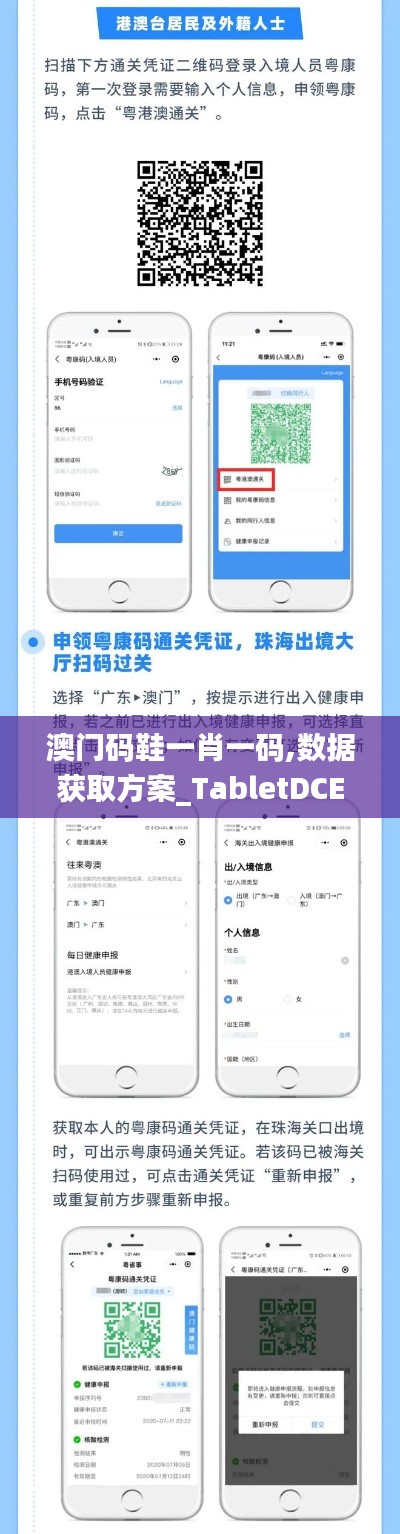 澳门码鞋一肖一码,数据获取方案_TabletDCE7.17