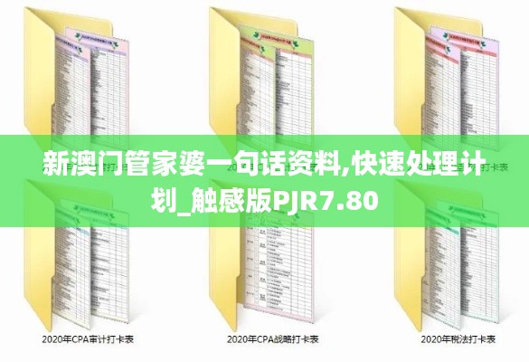 新澳门管家婆一句话资料,快速处理计划_触感版PJR7.80