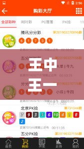 王中王一码一肖一特一中6749,创新解释说法_为你版LWB7.18