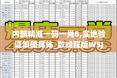 内部精准一码一肖8,实地验证策略具体_数线程版WSJ7.87