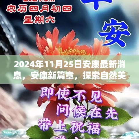 安康新篇章，启程探索自然美景，心灵宁静的呼唤之旅（2024年11月25日最新消息）