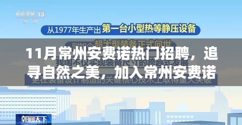 常州安费诺11月热门招聘，追寻自然之美，开启激情工作之旅