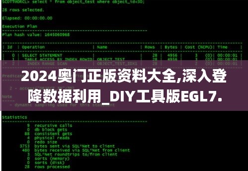 2024奥门正版资料大全,深入登降数据利用_DIY工具版EGL7.85